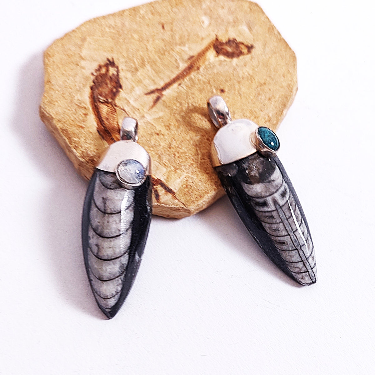Fossiler Donnerkeil - Tintenfisch-Anhänger mit edler Silberfassung und Edelstein